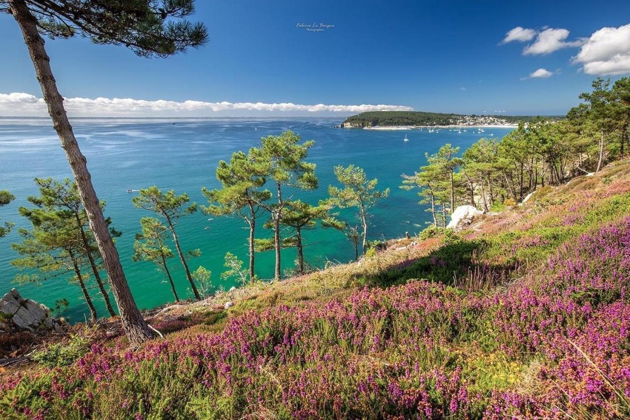 Appartement Cosy Les Pieds Dans L'Eau, Vue Mer Exceptionnelle โครซง ภายนอก รูปภาพ